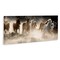 Stupell Industries Striking Horse Herd Galloping Canvas Wall Art
